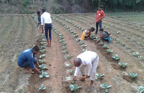 Livelihood Project